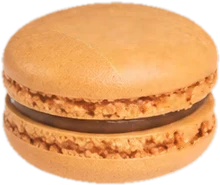 Macaron albicocca